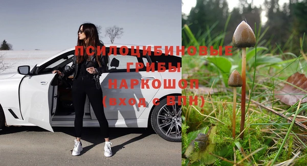 тгк Липки